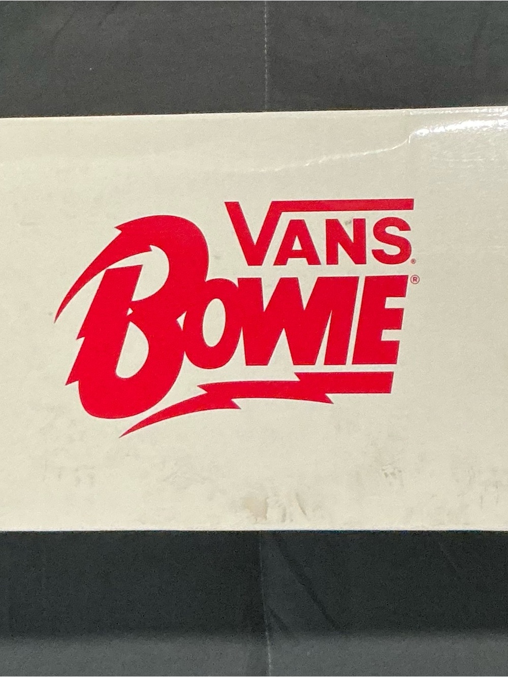 VANS x David Bowie Limited Edition Blackstar Slip-ons